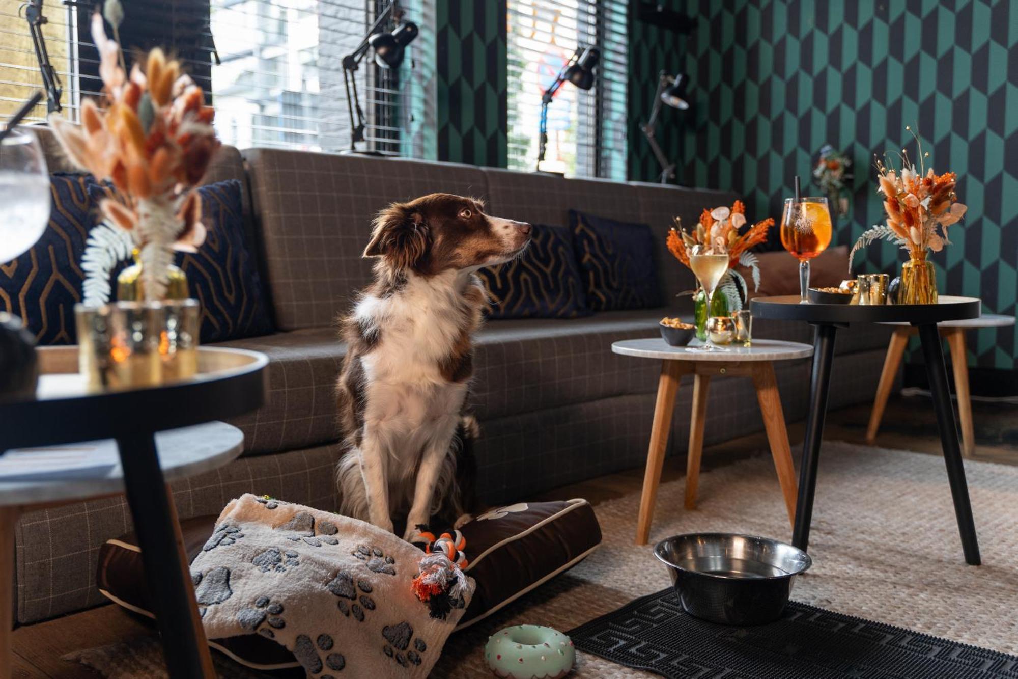 Ibis Styles Hasselt City Centre Eksteriør bilde